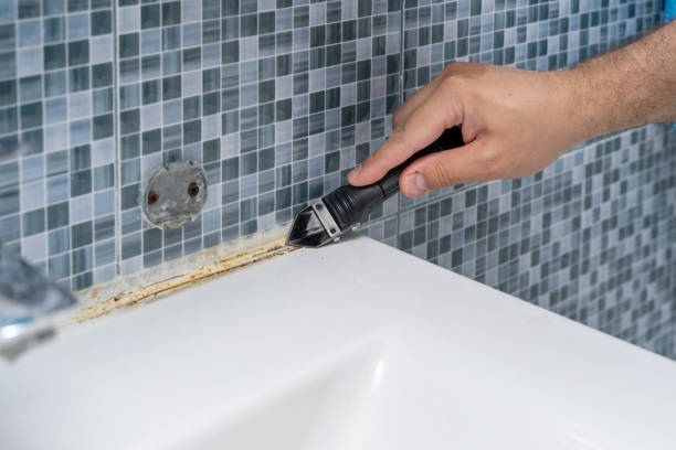 Best Fast Mold Removal  in Minnetrista, MN